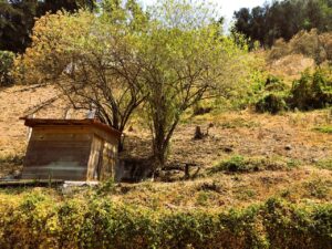 Terreno en venta la pena valle de bravo 01